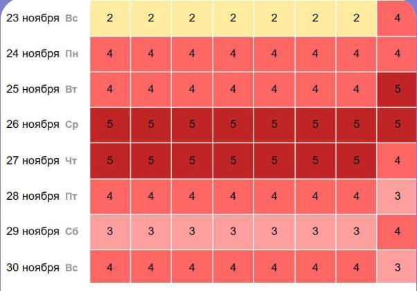 photo_1_2025-11-20_15-30-41