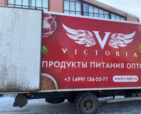 photo_7_2026-02-19_16-25-07